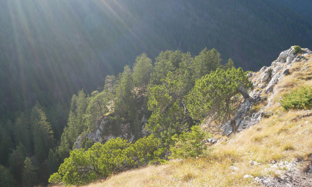 Kofel im Herbst