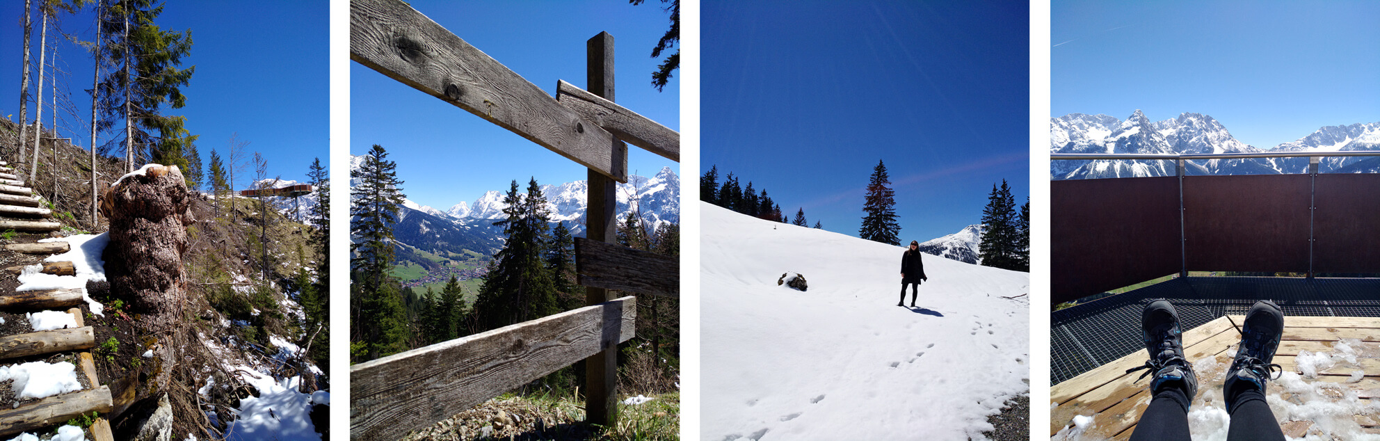 Ehrwald Tuftl Alm Frühling