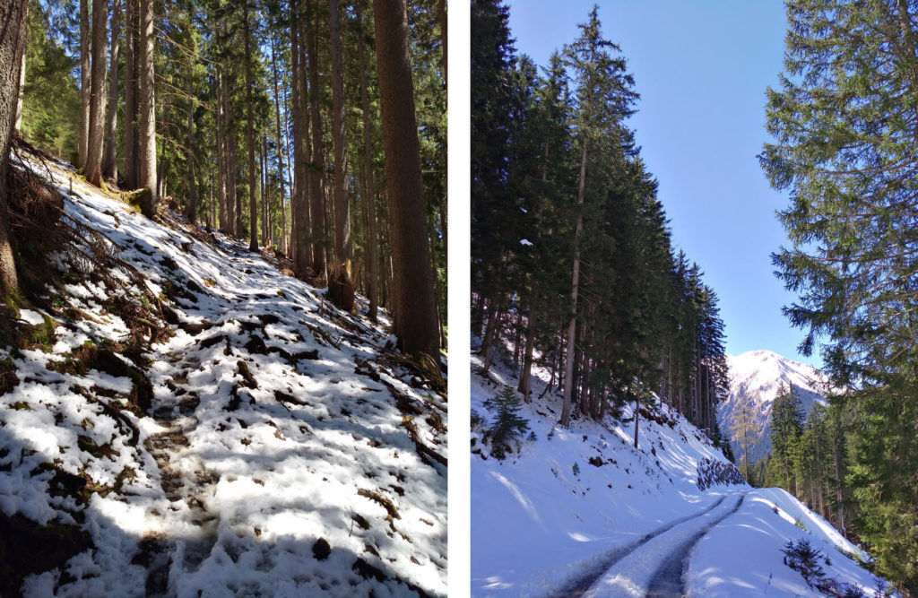 Ehrwald Weg zur Tuftlalm