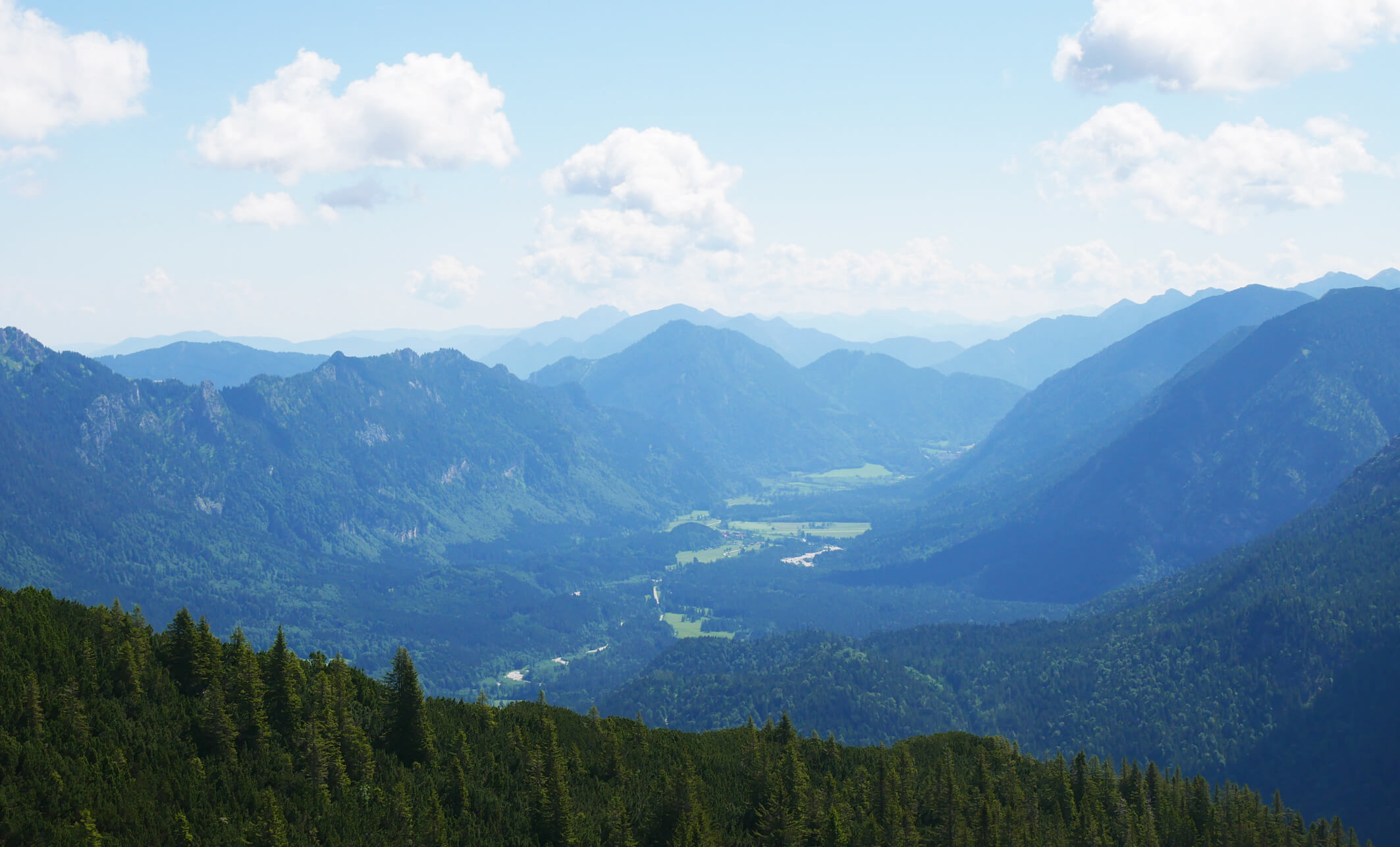 Scheinbergspitze Graswangtal Ausblick