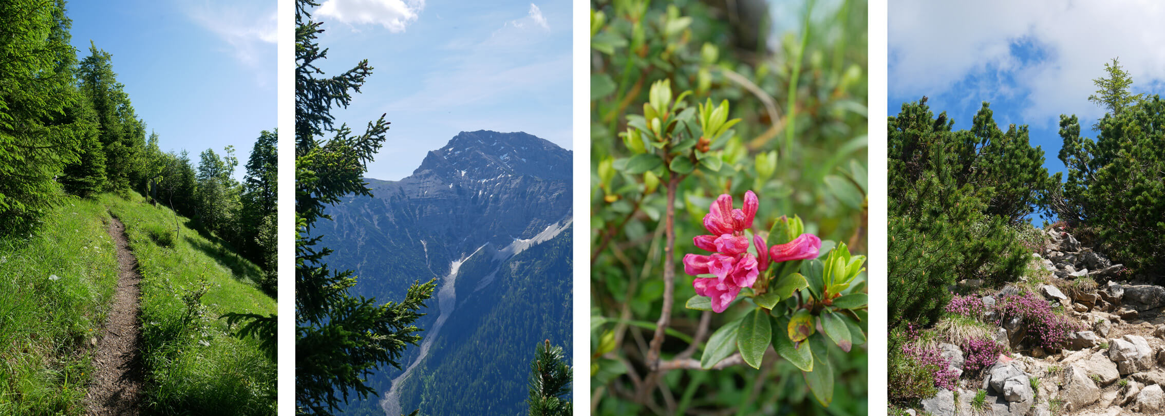 Scheinbergspitze Wanderung