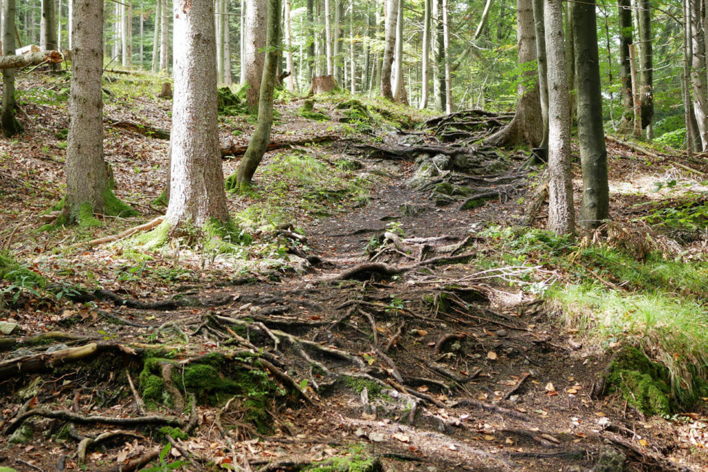 Ziegelspitz Weg Ettal