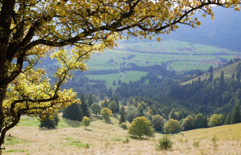 Hörnle Herbst Unterammergau