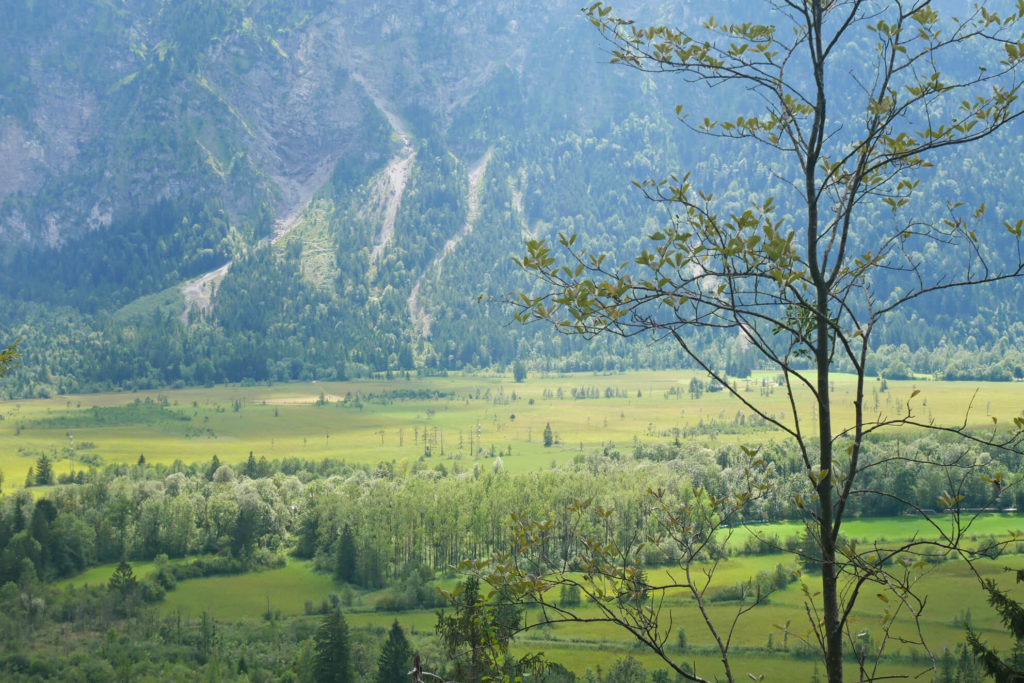 Loisachblick Ausblick Tal