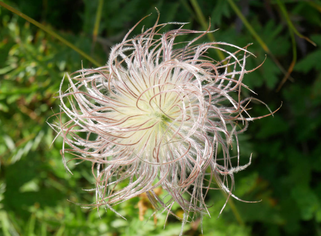 Längenfeld Garmisch Natur