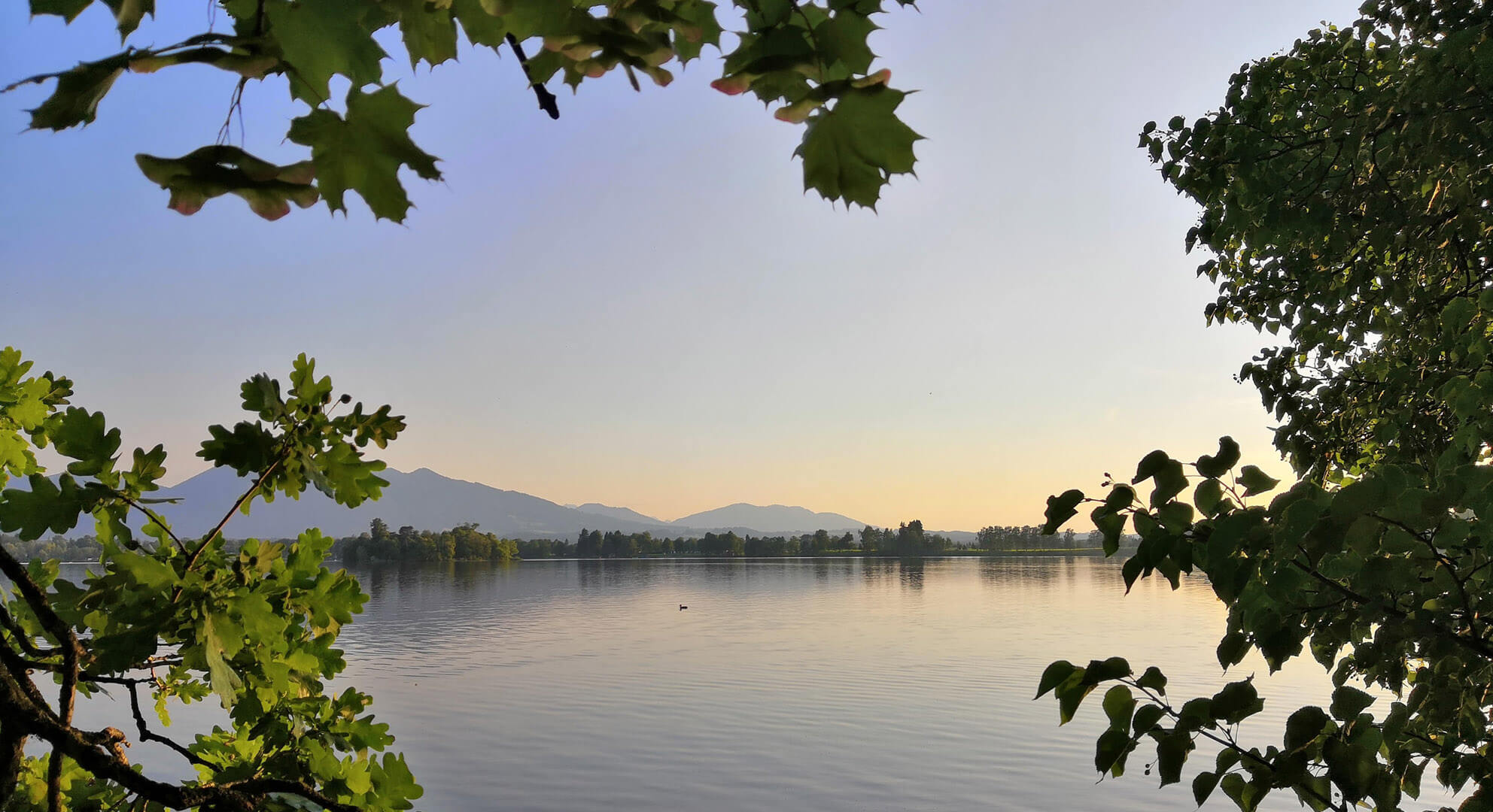 Staffelsee abends