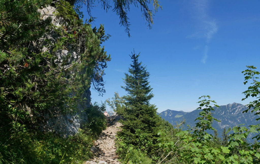 Weg vom Kreuzeck zum Schwarzenberg