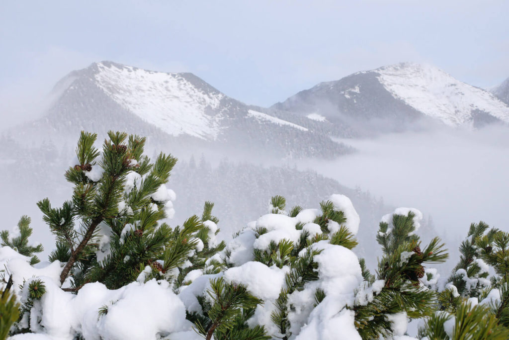 Garmisch Wank Winterwanderung