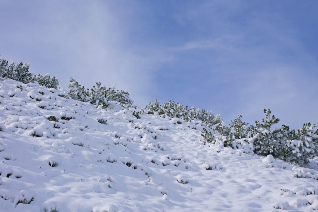 Wank Schnee Latschenfelder