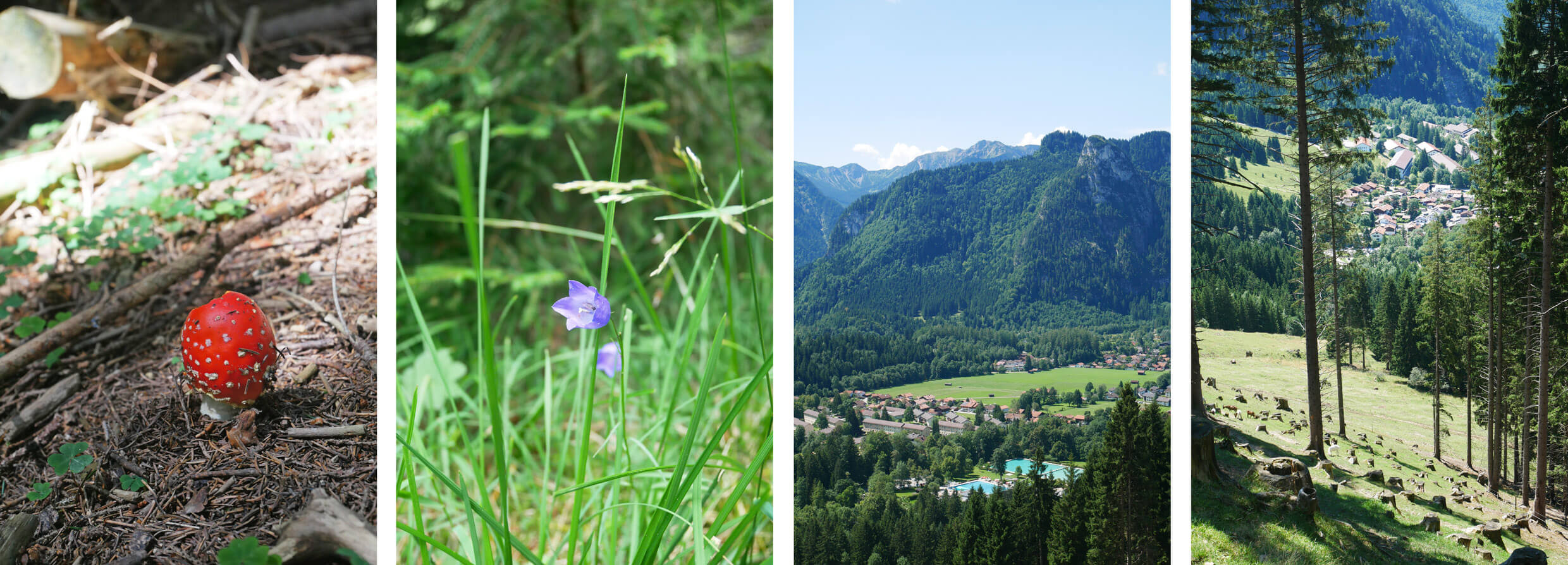 Aufacker Oberammergau Wanderung