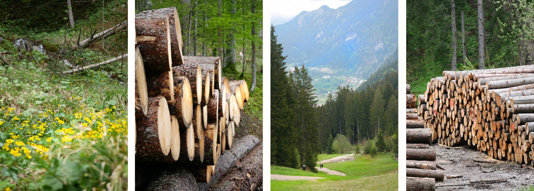 kolbensattel ogau wanderweg