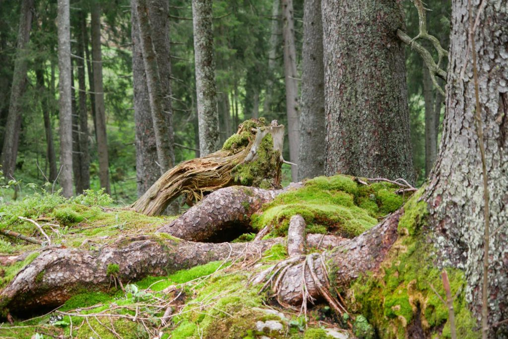 kolbensattelhütte wanderweg