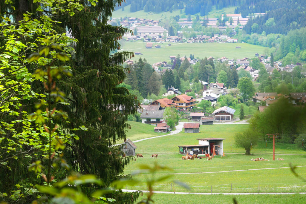 oberammergau kolbensattel wanderweg