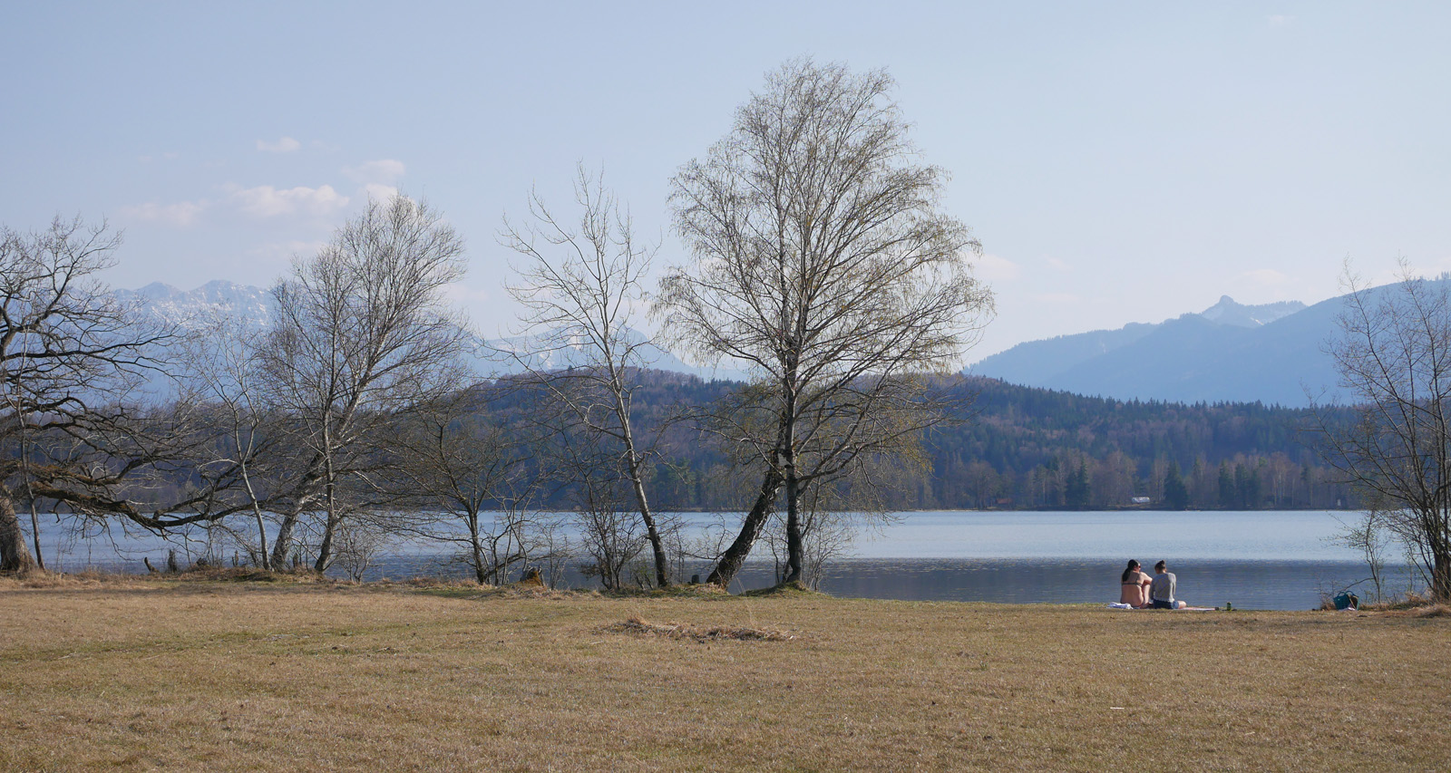 staffelsee ufer naturschutzgebiet