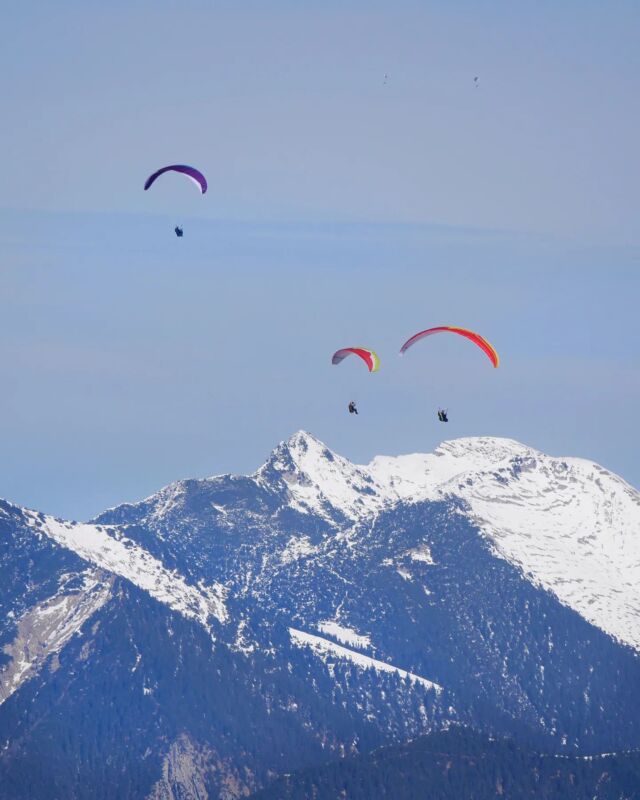 // Hoch hinaus 🪂🪂🪂

#garmischclassic #ausblick #garmischpartenkirchen #gleitschirm #zugspitzregion #zugspitzland #entdeckegapa #estergebirge #visitbavaria #deinbayern