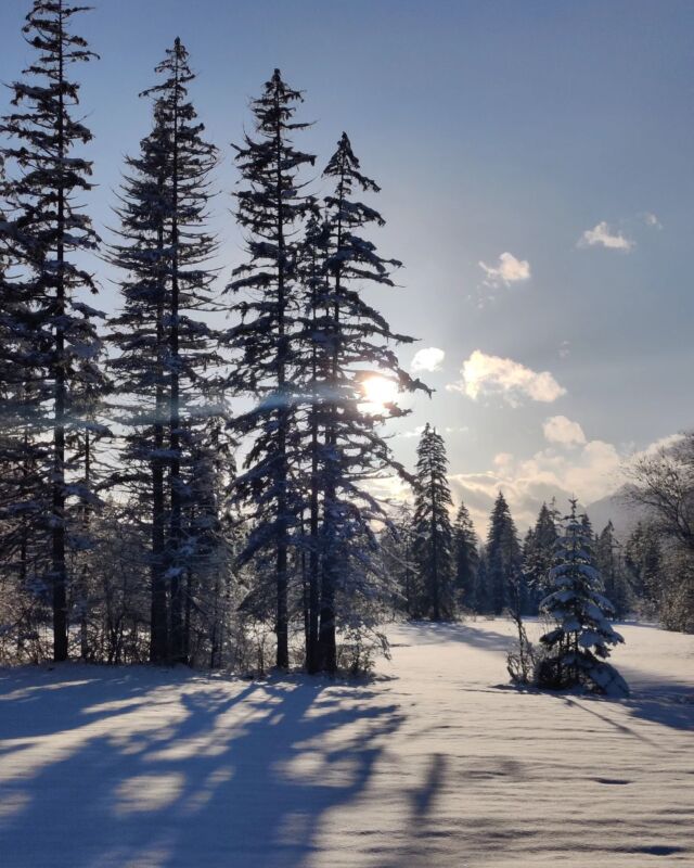 // Winterwonderland Ende März 💙

#winterwonderland #ammergaueralpen #naturparkammergaueralpen #garmischpartenkirchen #entdeckegapa #naturpark #oberammergau #graswangtal #ettal #deinbayern #visitbavaria