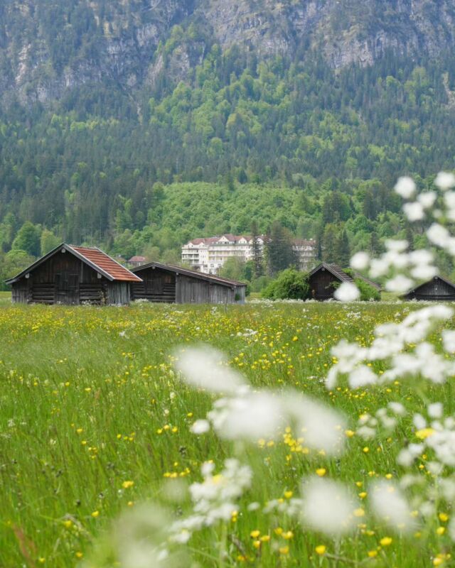 // Sommer? 😬🌿

#garmischpartenkirchen #entdeckegapa #zugspitzland #zugspitzregion #wiesmahd #stadl #bayern #oberbayern #visitbavaria #sommerinbayern
